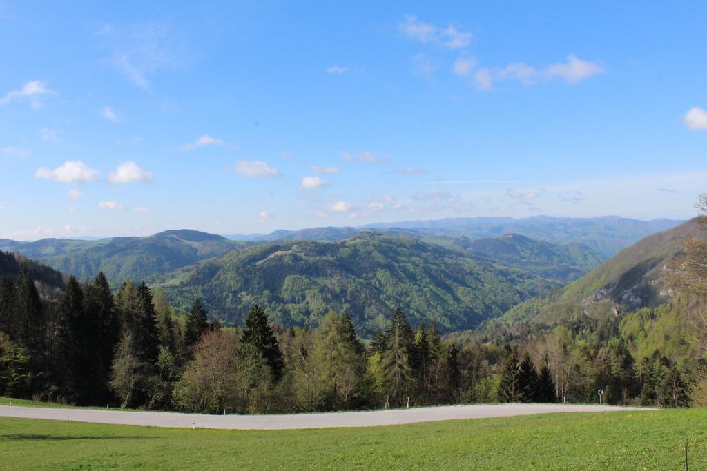 Domacija Za Robom Apartment Cerkno Exterior foto